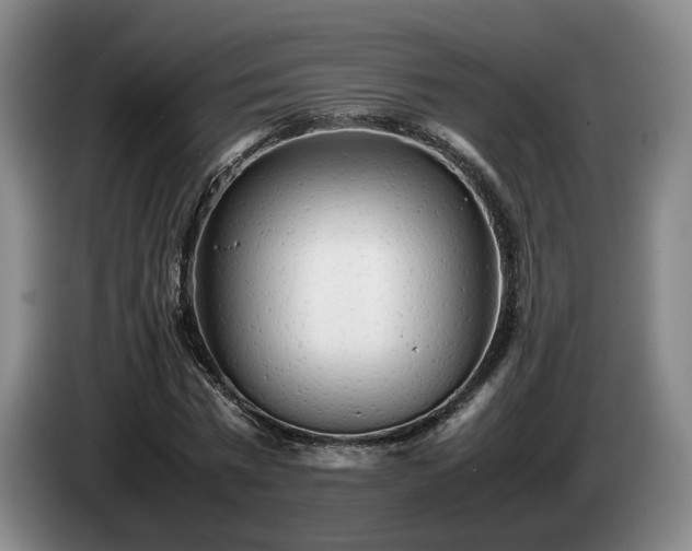 X0000085070777200703121641