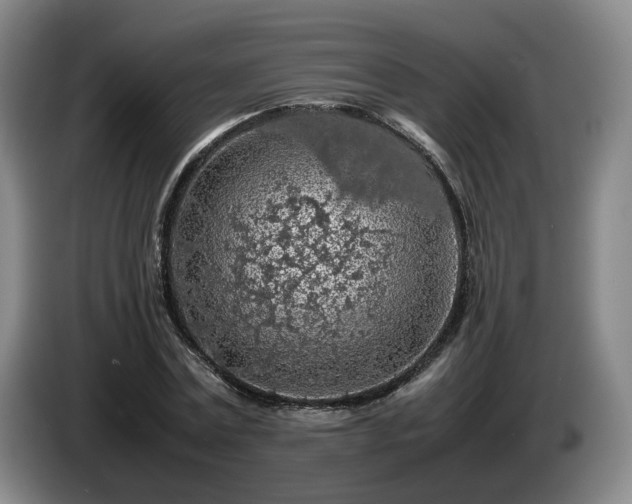 X0000085070779200703121641