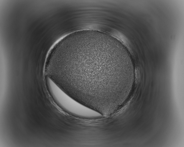 X0000085070780200703121641