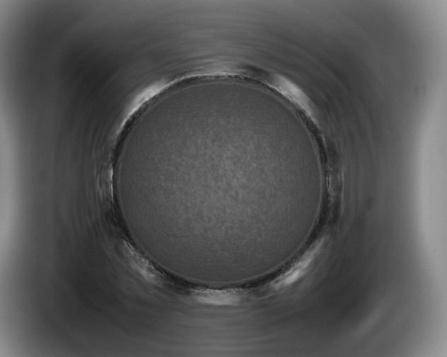 X0000085070781200703121641