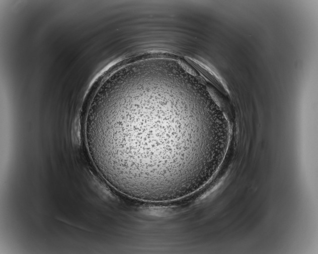 X0000085070782200703121641