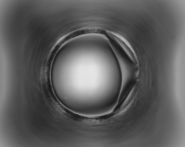 X0000085070783200703121641