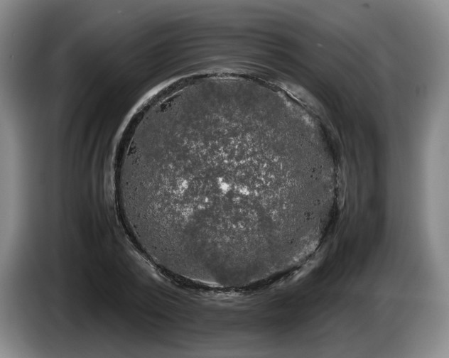 X0000085070784200703121641