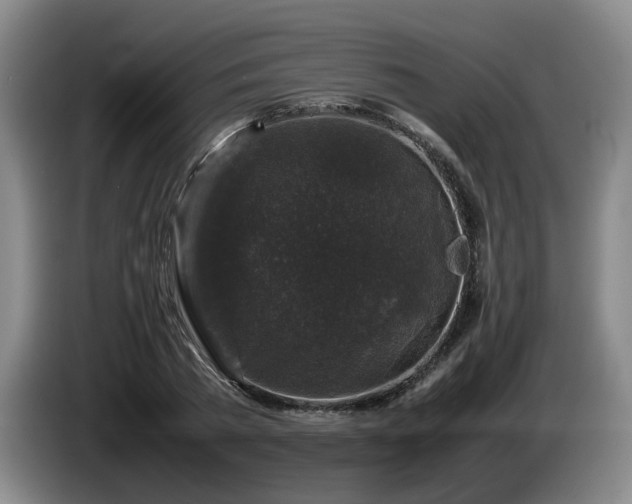 X0000085070785200703121641