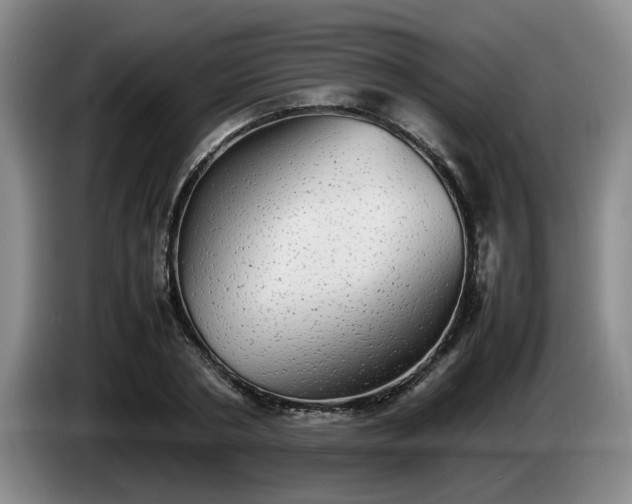 X0000085070786200703121641