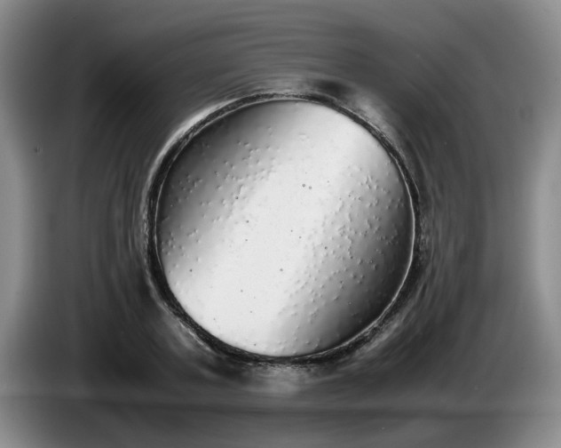 X0000085070787200703121641