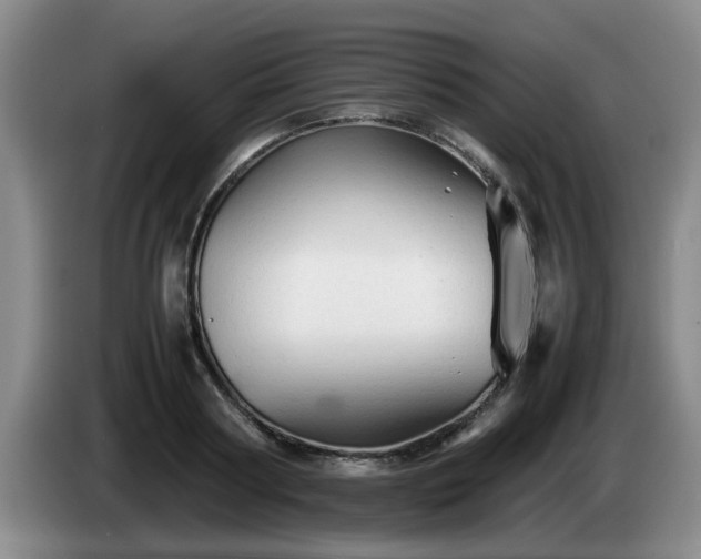 X0000085070794200703121641