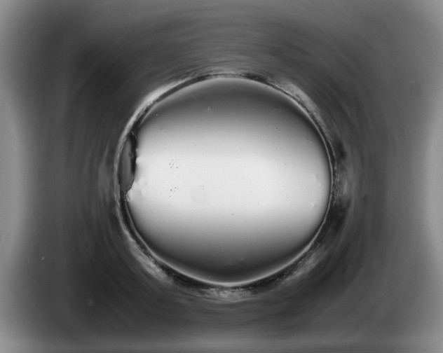 X0000085070795200703121641