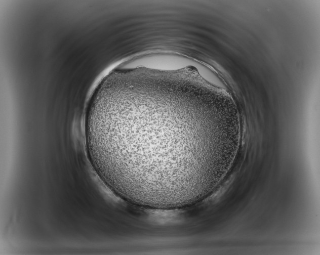 X0000085070796200703121641