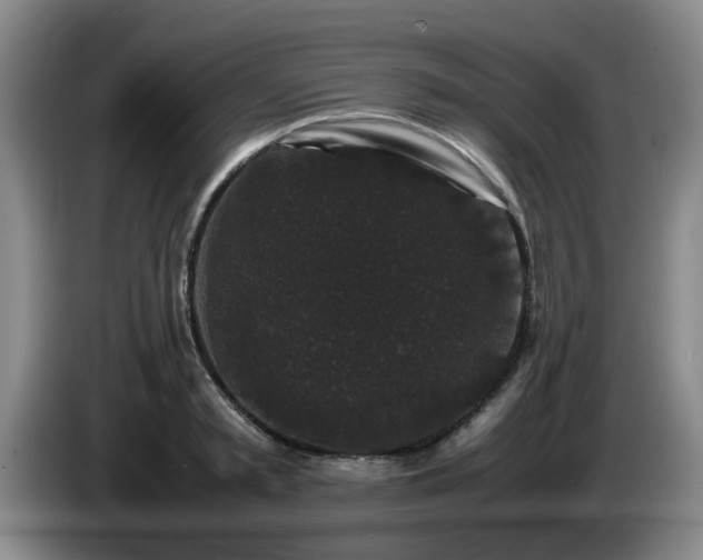 X0000085070797200703121640