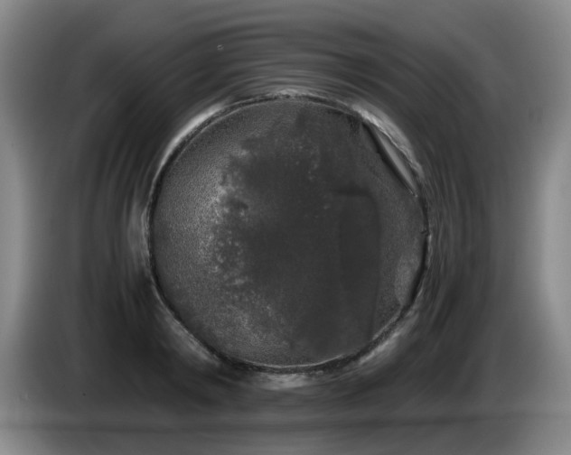 X0000085070798200703121640