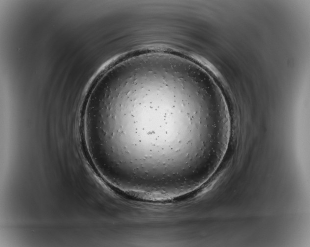 X0000085070799200703121640