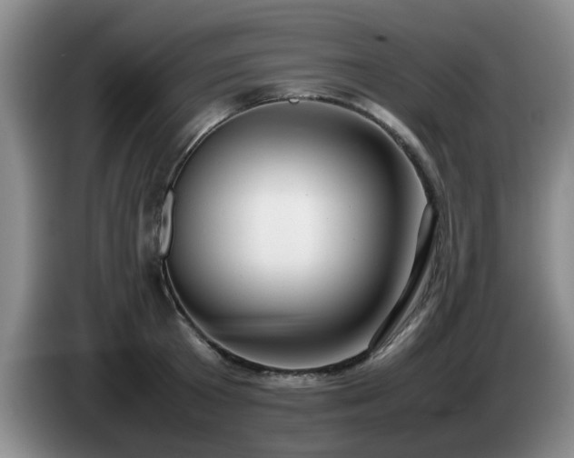 X0000085070801200703121640