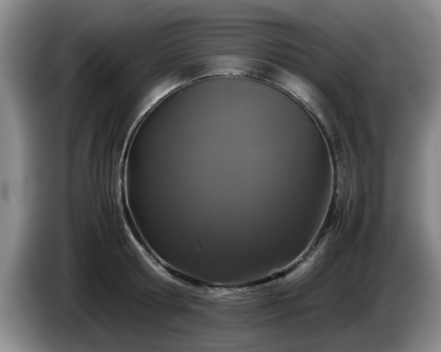 X0000085070802200703121640