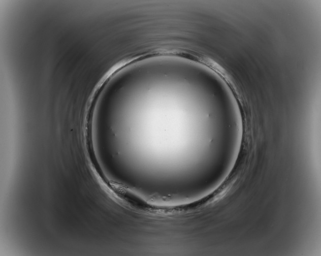 X0000085070803200703121640