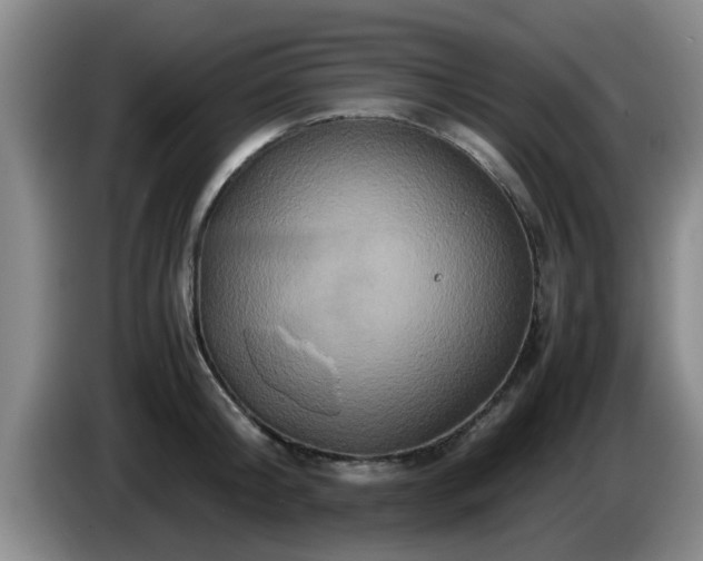 X0000085070804200703121640