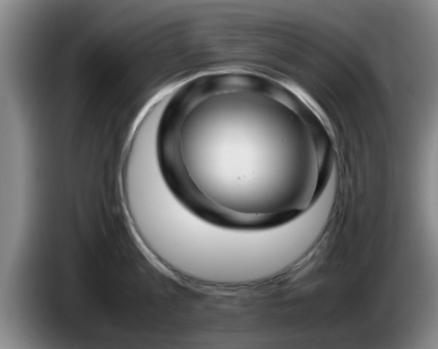 X0000085070813200703121640