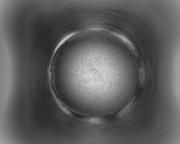 X0000085070814200703121640