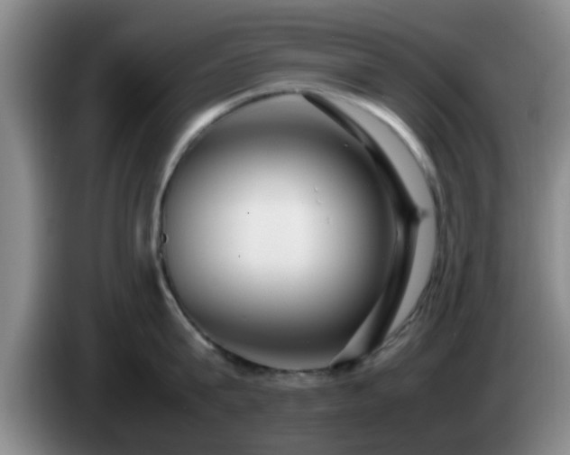 X0000085070815200703121640