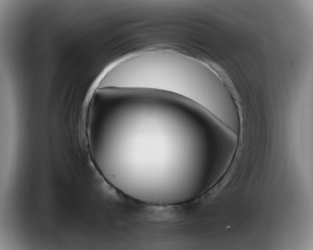 X0000085070816200703121640