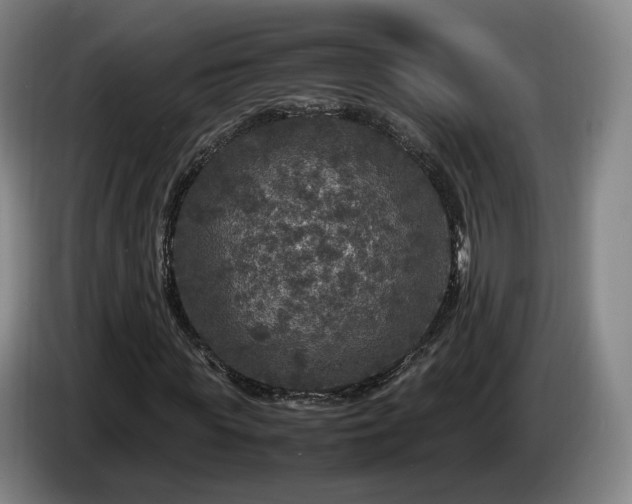 X0000085070819200703121640