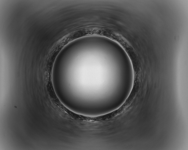 X0000085070821200703121640