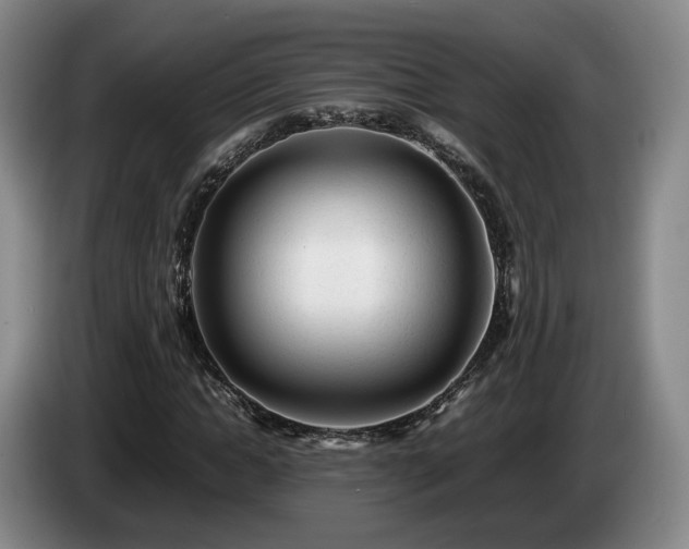 X0000085070822200703121640