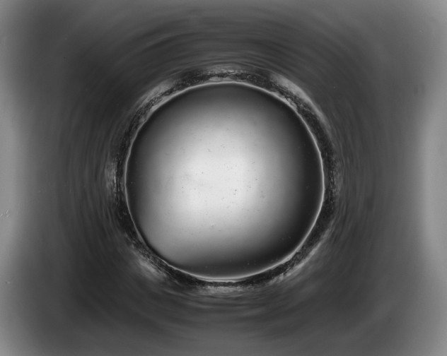 X0000085070825200703121640