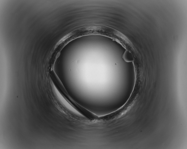 X0000085070826200703121640