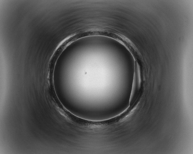 X0000085070830200703121640