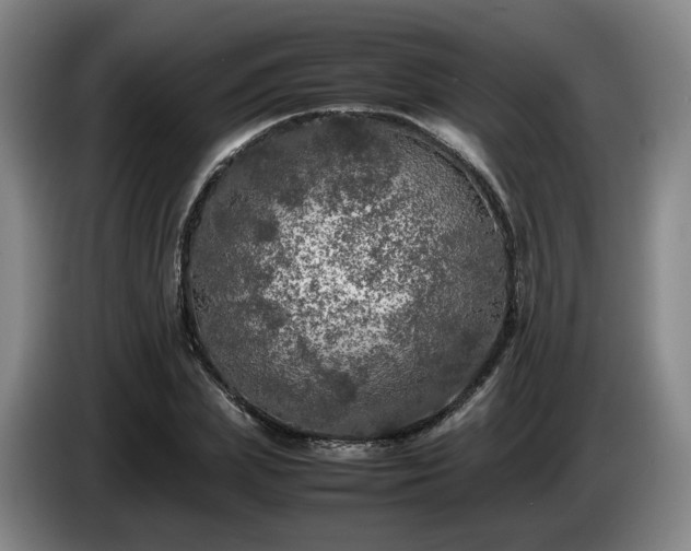 X0000085070831200703121640