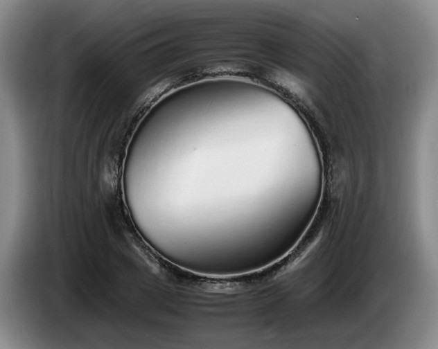 X0000085070833200703121640