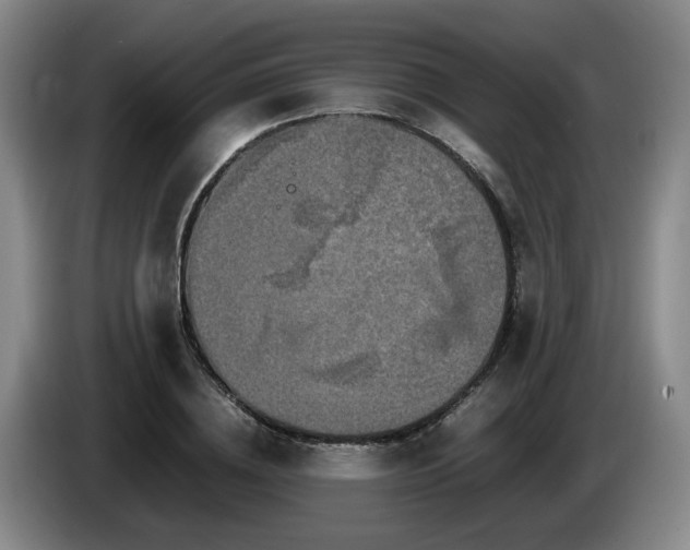 X0000085070836200703121640