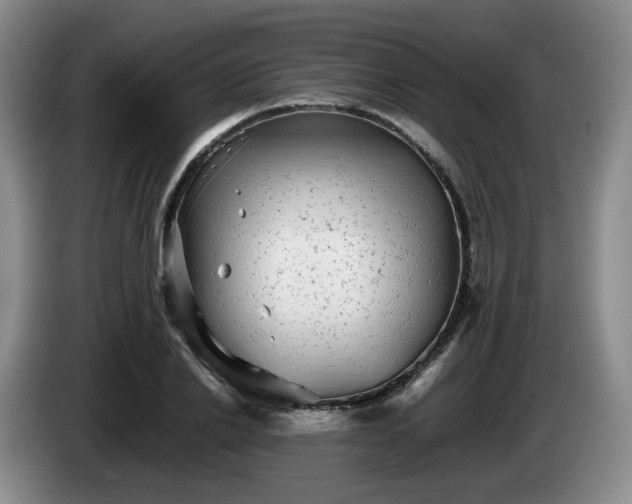 X0000085070838200703121640