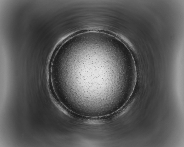 X0000085070840200703121640