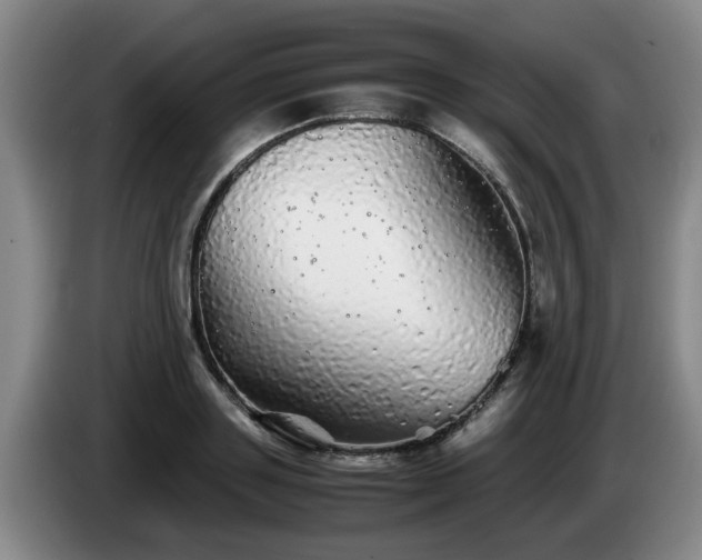 X0000085070843200703121640