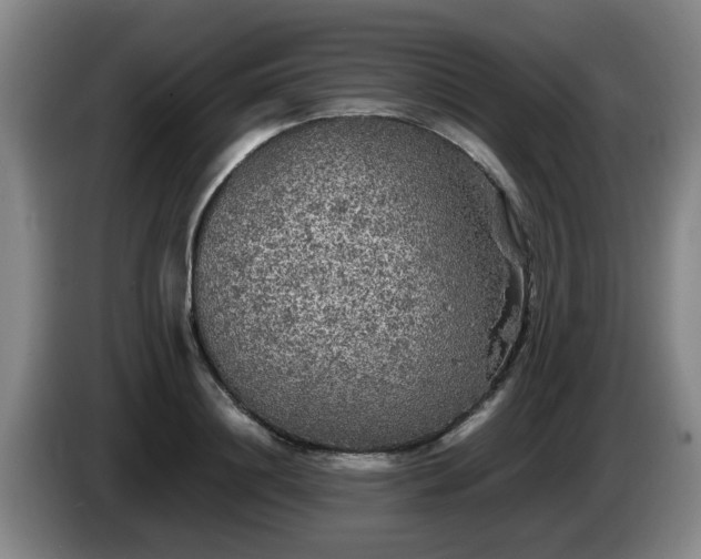 X0000085070844200703121640