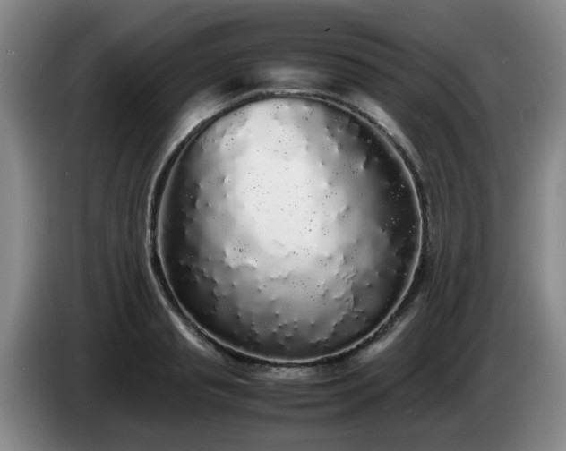 X0000085070845200703121640