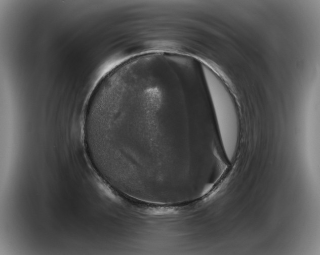 X0000085070846200703121640