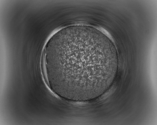 X0000085070847200703121640