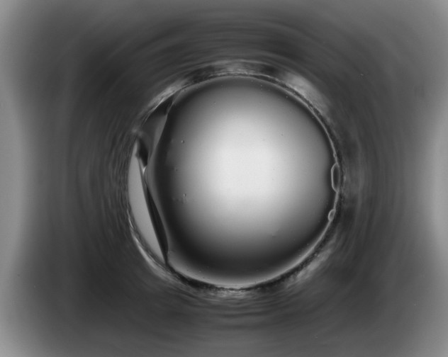 X0000085070849200703121640