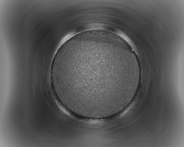 X0000085070850200703121640