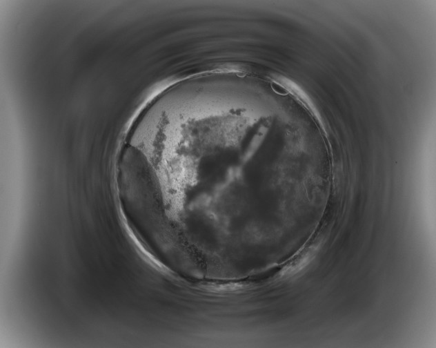 X0000085070851200703121640