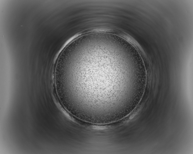 X0000085070852200703121640