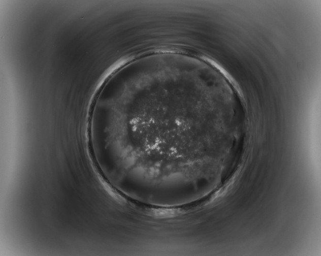 X0000085070853200703121640