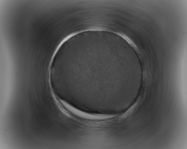 X0000085070854200703121640