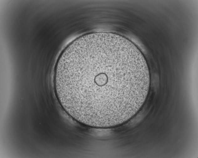 X0000085070856200703121640