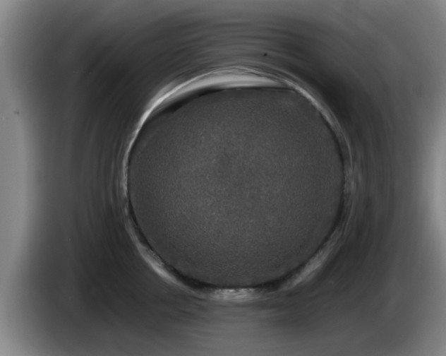 X0000085070858200703121640