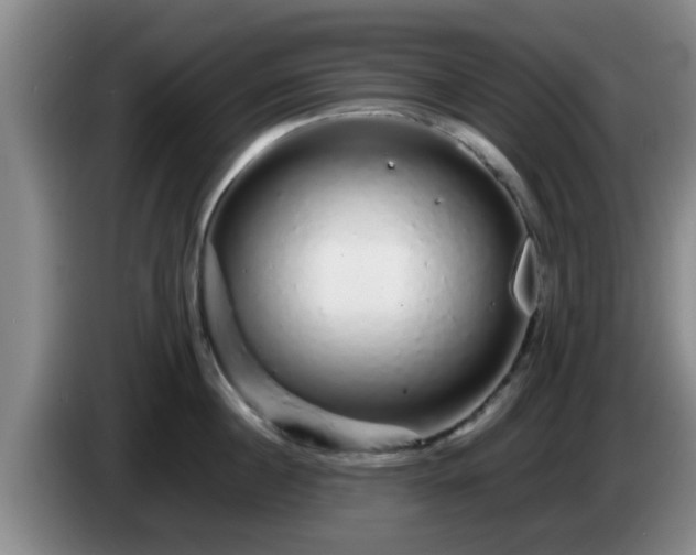 X0000085070860200703121640