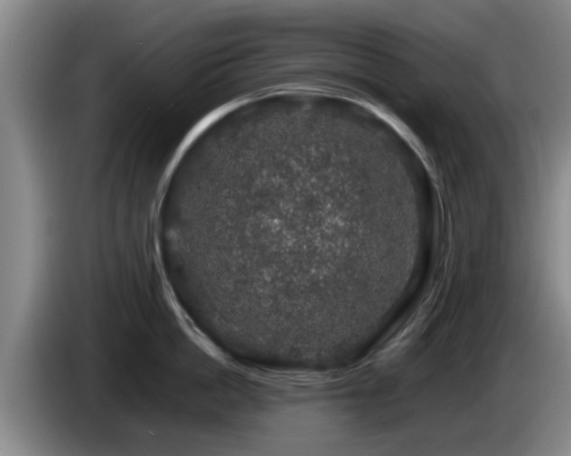 X0000085070862200703121640